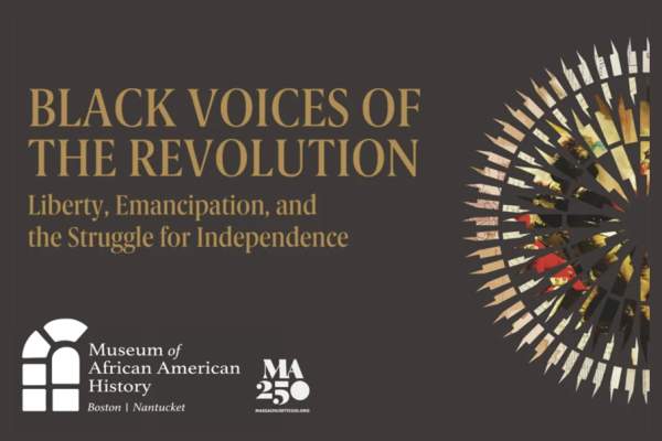 Black Voices of the Revolution