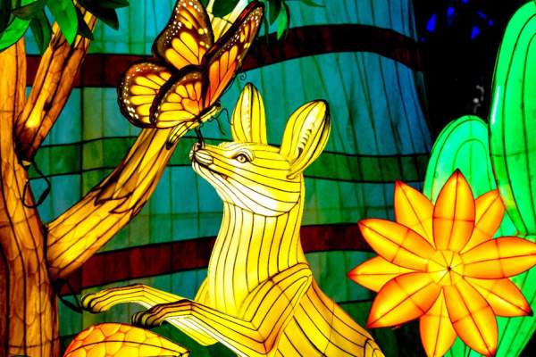 Boston Lights: A Lantern Experience