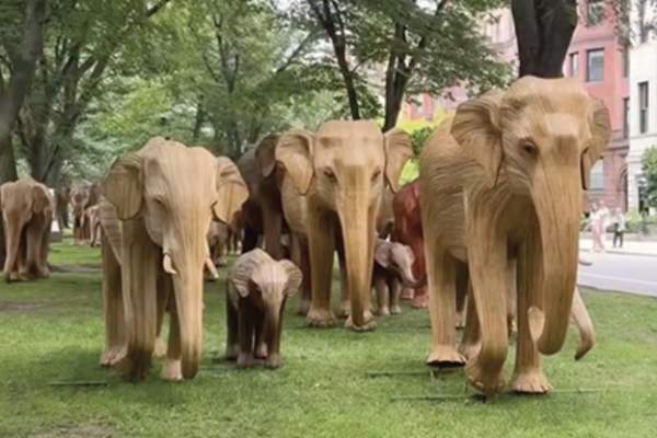 The Great Elephant Migration Sculptures