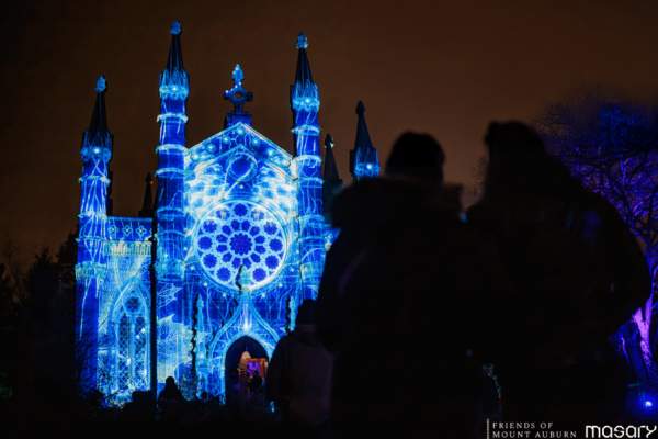 Solstice: Reflections on Winter Light