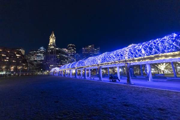 2025 Annual Trellis Lighting