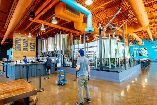 Mighty Squirrel Brewing Co.