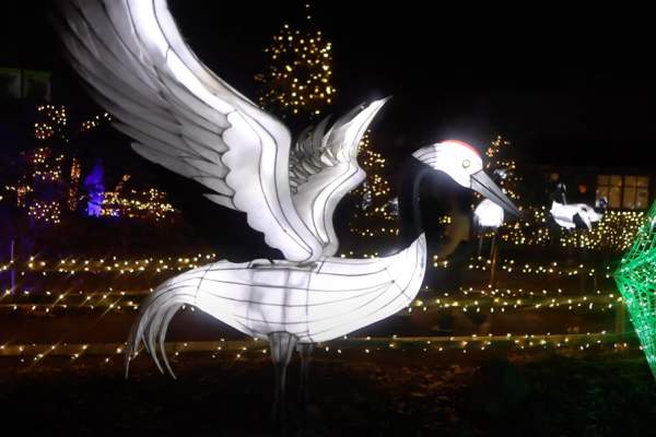 ZooLights at Stone Zoo