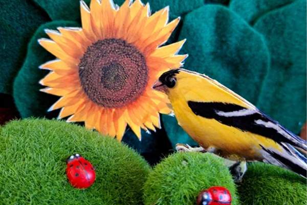 The Tiny Bird Show
