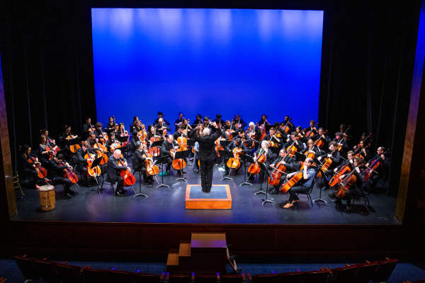 All-Cello Orchestra