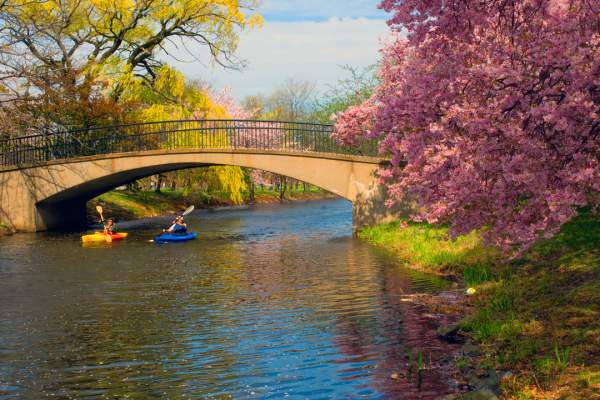 Paddle Boston