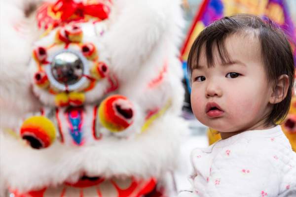 Lunar New Year Celebration at the MFA