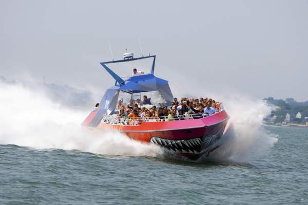 Codzilla with Boston Harbor Cruises