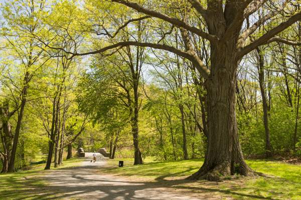 Emerald Necklace Conservancy