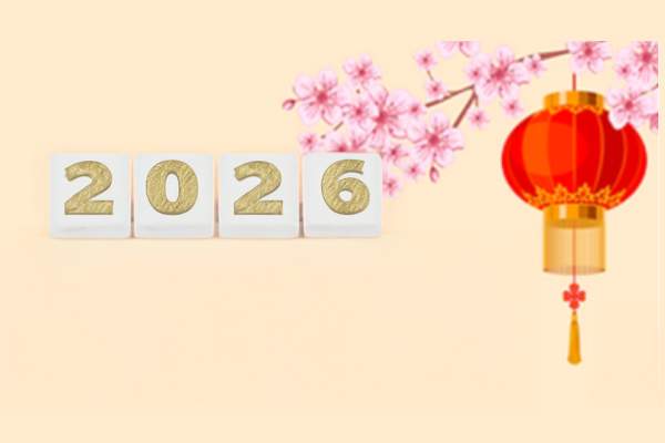 Lunar New Year Flower Market