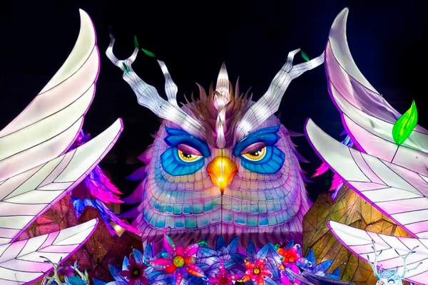 Boston Lights: A Lantern Experience