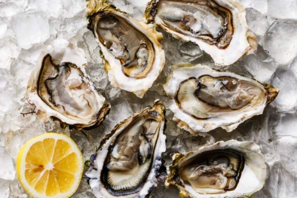 $1 Oysters
