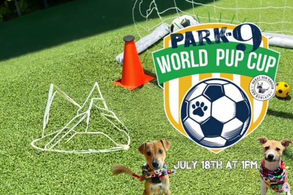 World Pup Cup