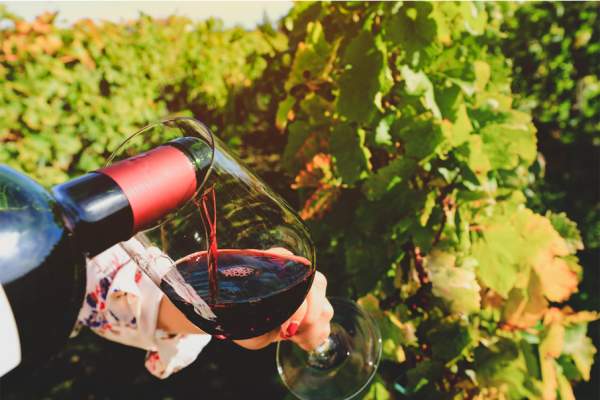 Wine Seminar: Bordeaux