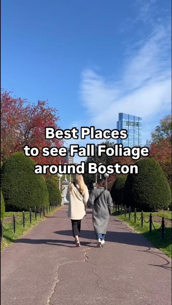 Video Thumbnail - vimeo - Fall Foliage