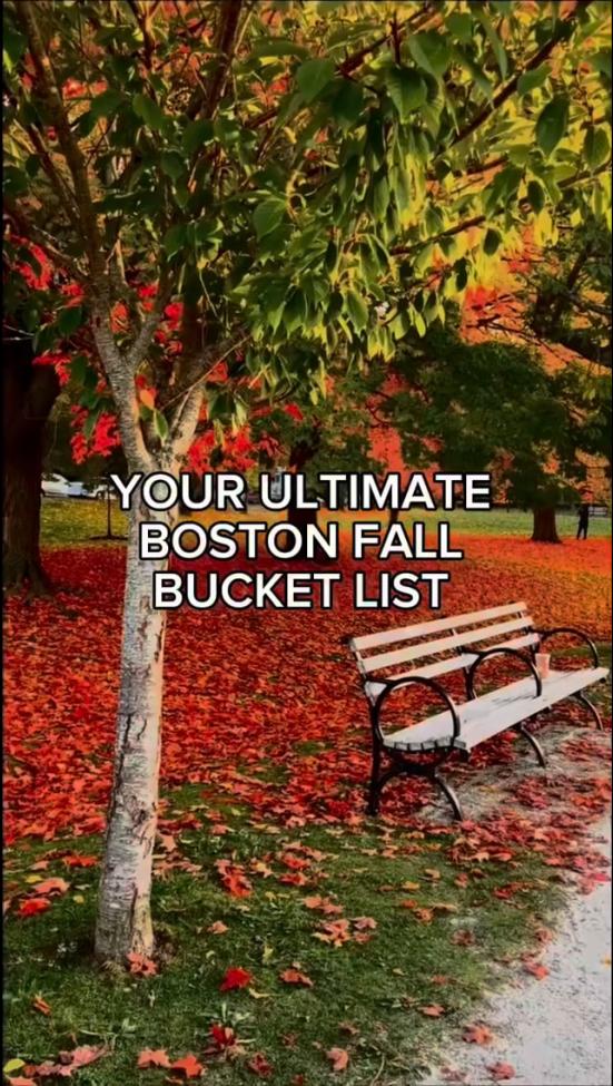 Video Thumbnail - vimeo - Fall Bucket List