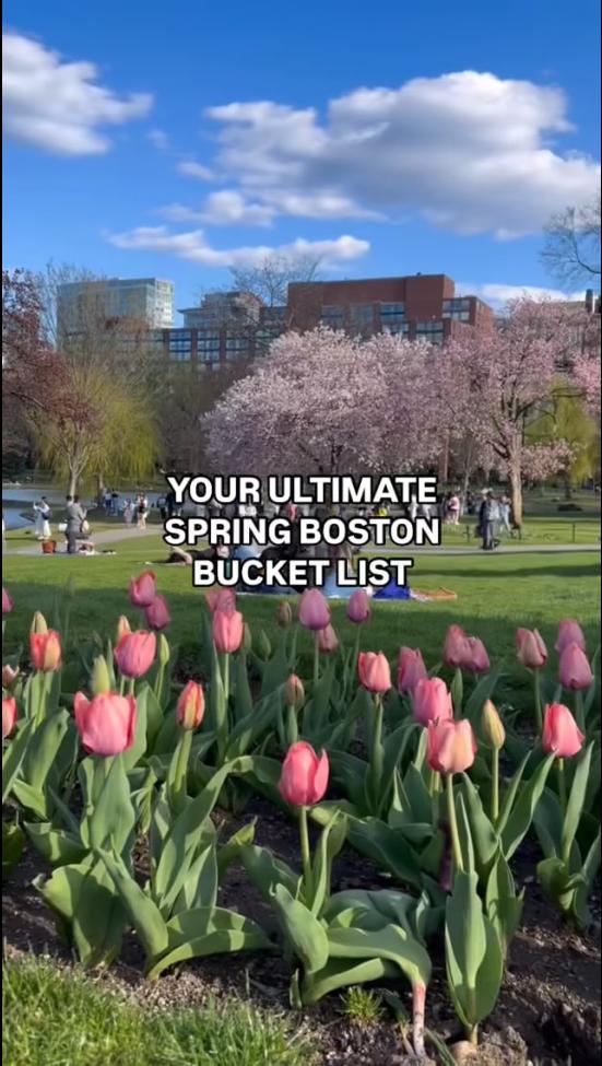 Video Thumbnail - vimeo - Boston Spring Bucket List