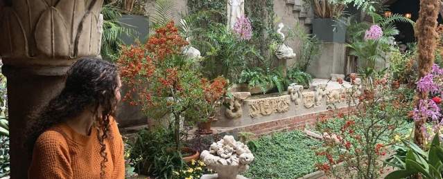 Person looking at the  Isabella Stewart Gardner Museum's garden