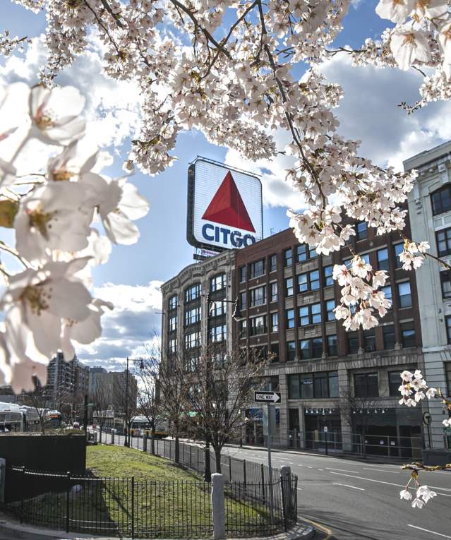 CITGO sign in Spring