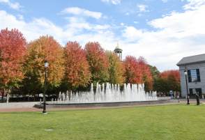 Quincy Commons