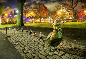 Holiday Ducklings