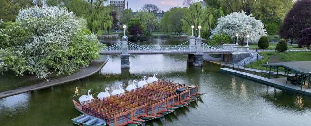Your Ultimate Spring Bucket List in Boston