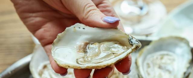 Oysters at The Banks