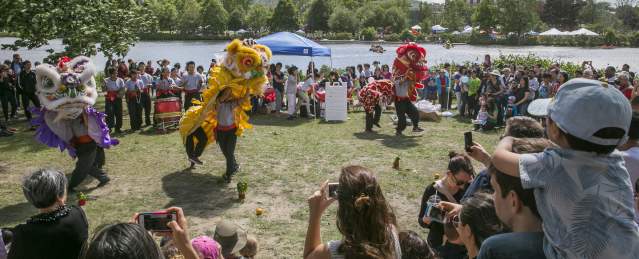 Dragon Boat Festival Dragons