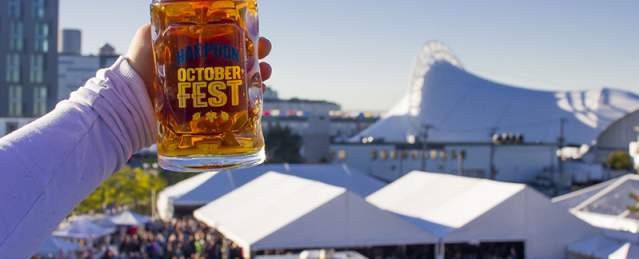 Harpoon Octoberfest
