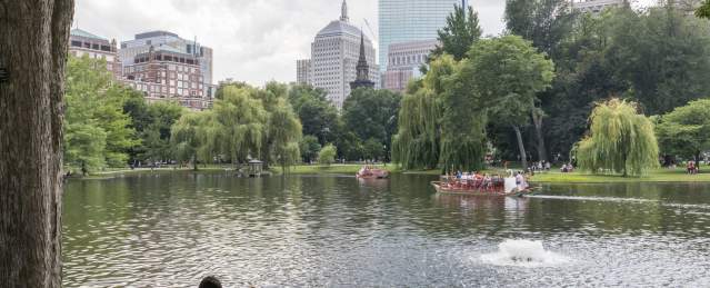 Picnic Spots in Boston