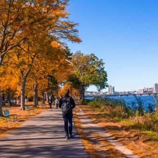 Photo of people walking along the Esplanade in Cambridge in Fall