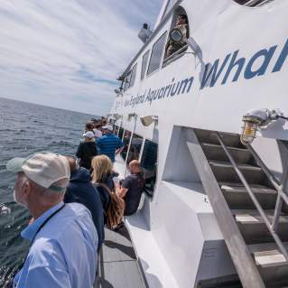 Massachusetts Whale Trail