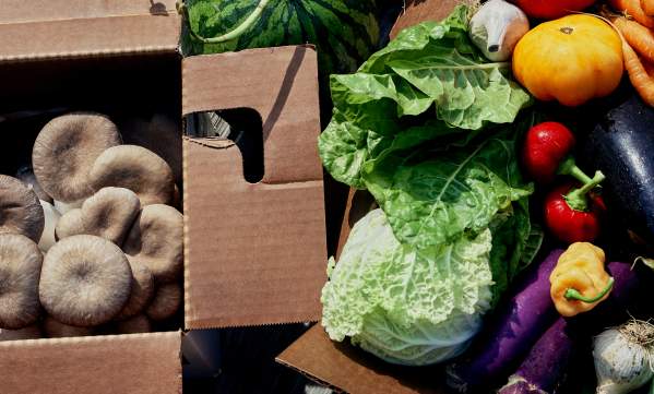 Culinary - Siena Farms