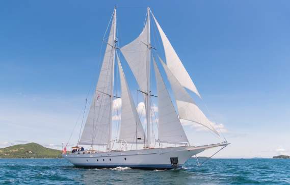 STV Vela