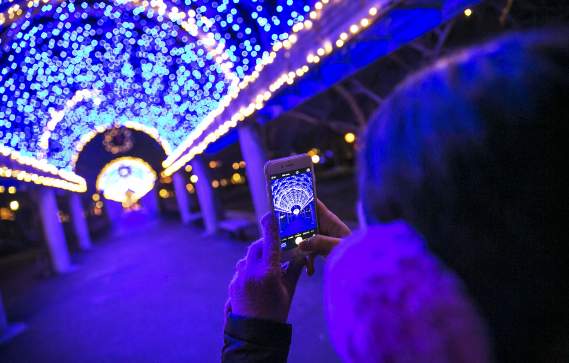 Boston's Holiday Lights Trail