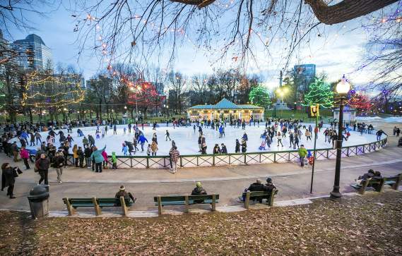 Frog Pond Ice Skating with Common Lights