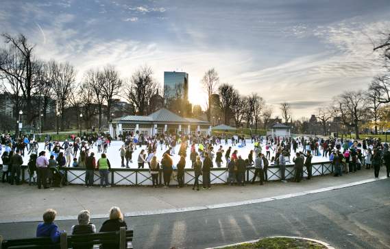 winter frogpond skating