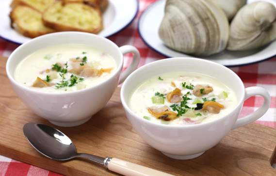 clam chowder cups