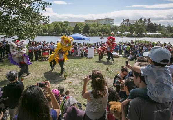 Dragon Boat Festival Dragons