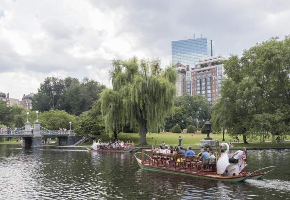Swan Boats In Boston, MA