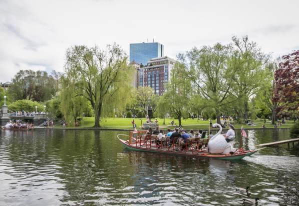Swan Boats in Public Garden Lagoon
