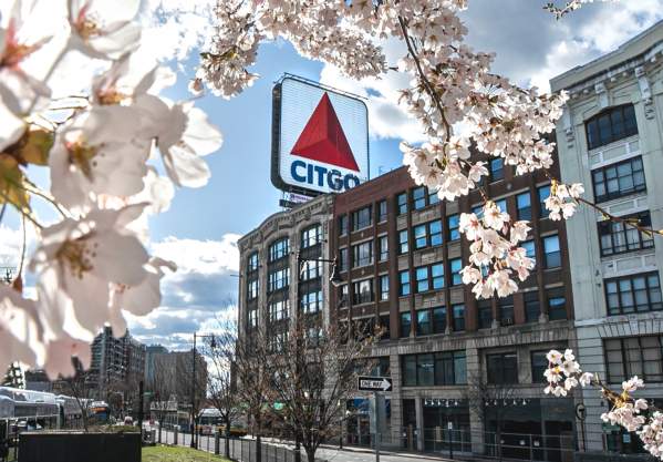 CITGO sign in Spring