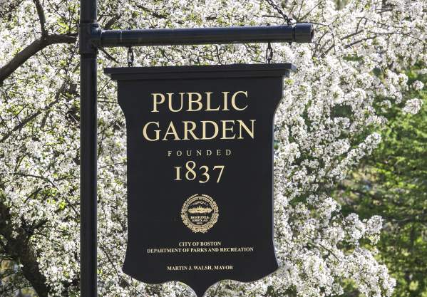 Public Garden in Spring