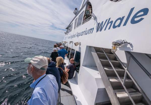 Massachusetts Whale Trail