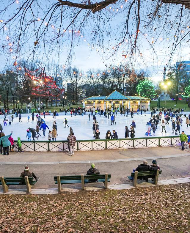 Frog Pond Ice Skating with Common Lights