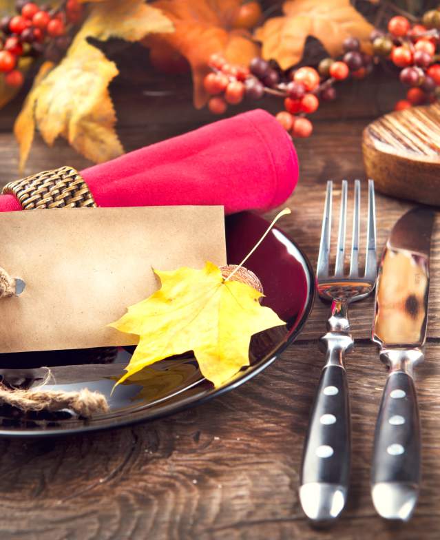 thanksgiving dinner seasonal plate knife fork