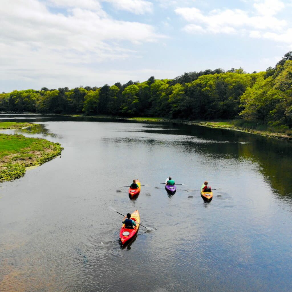 Friends kayaking on Cape Cod