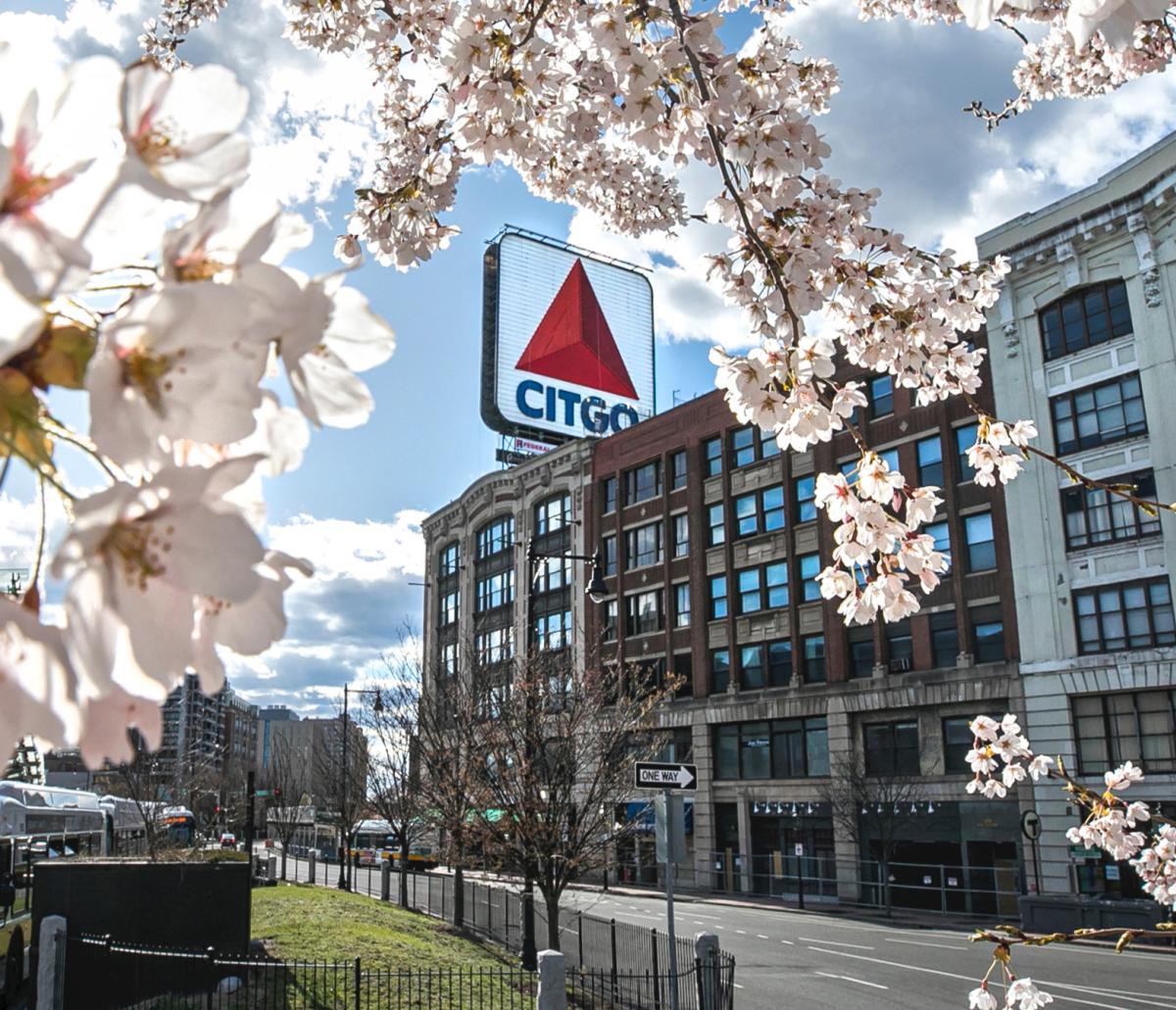 CITGO sign in Spring