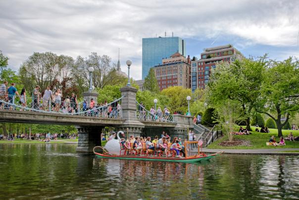 Swan Boat in Public Garden