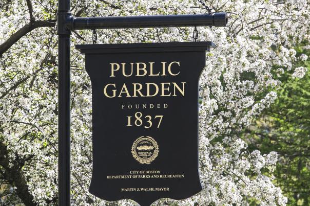 Public Garden in Spring